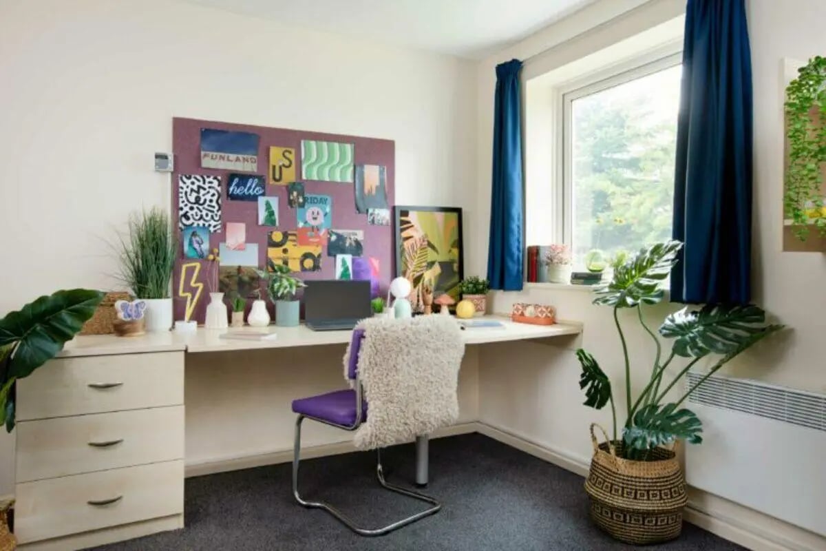 Desk plants laptop chair and pinned photos study area at North Court in Cardiff Student Accommodation