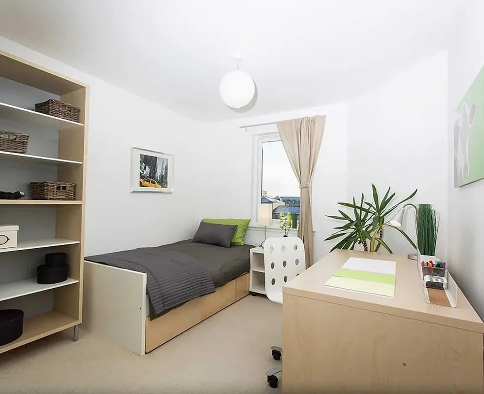 Bed desk plant shelf and window bedroom at Trinity Court in Aberdeen Student Accommodation