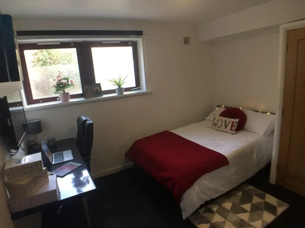 Bed desk plants and window bedroom at Forest Court in Loughborough Student Accommodation