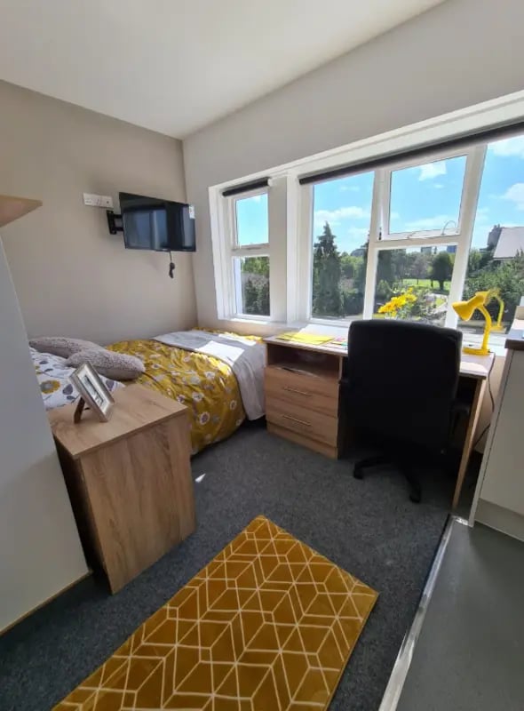 Bed desk chair rug bedroom at Salisbury Road in Leicester Student Accommodation