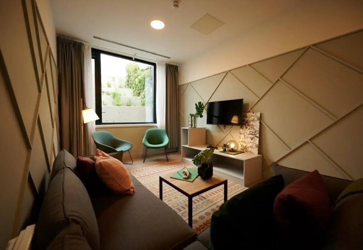 Sofa rug chairs tv coffee table living room at The Loom in Dublin Student Accommodation