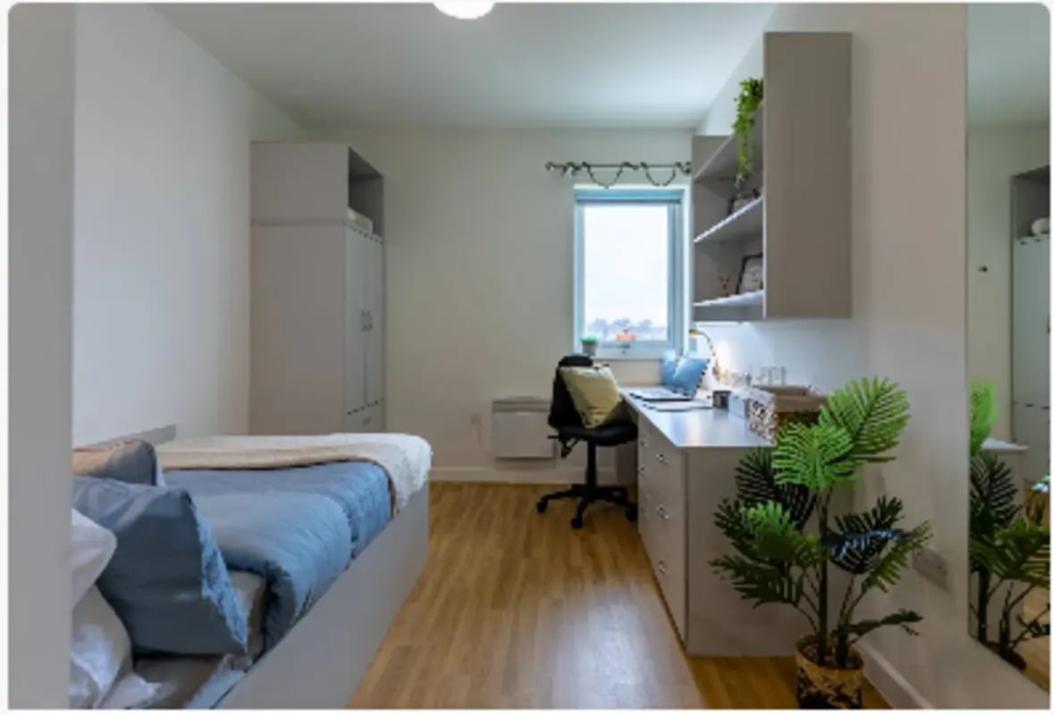 Bed desk wardrobe mirror and plants bedroom at The Maltings in Colchester Student Accommodation