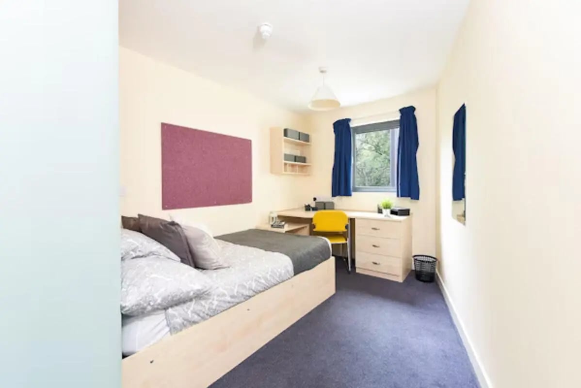 Bed desk shelves and trash bin bedroom at Gibson Street in Glasgow Student Accommodation