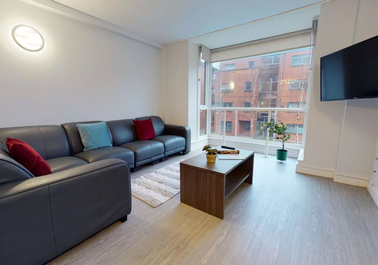 Sofa coffee table rug plant living room at iQ Hayes Wharf in Lincoln Student Accommodation