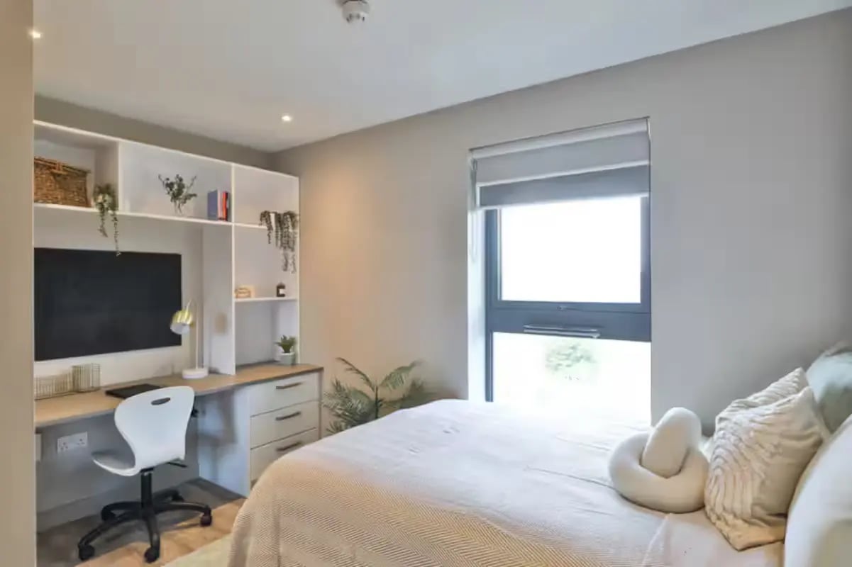 Desk chair shelves and bed bedroom at Talbot Point in Nottingham Student Accommodation