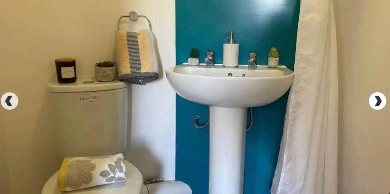 Toilet sink candle plants towel shower curtain bathroom at Dinwiddy House in London Student Accommodation