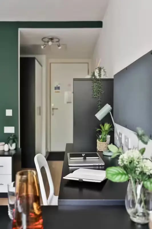 Desk with laptop plants and door Study area at Hayward House in Liverpool Student Accommodation