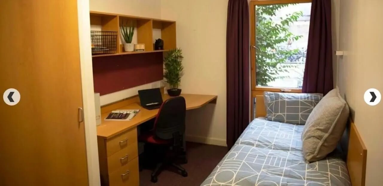Bed desk shelves and plants student bedroom at Lilian Knowles House in London Student Accommodation