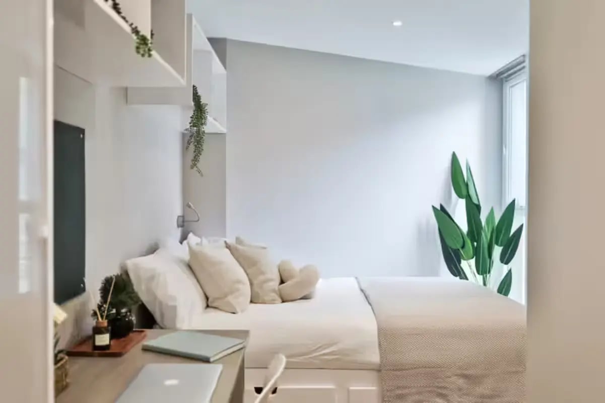 Bed pillows desk plant and laptop bedroom at Buccleuch Street in Edinburgh Student Accommodation