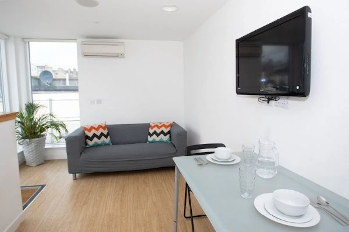 Sofa television table plant living room at 200 Cowgate in Edinburgh Student Accommodation