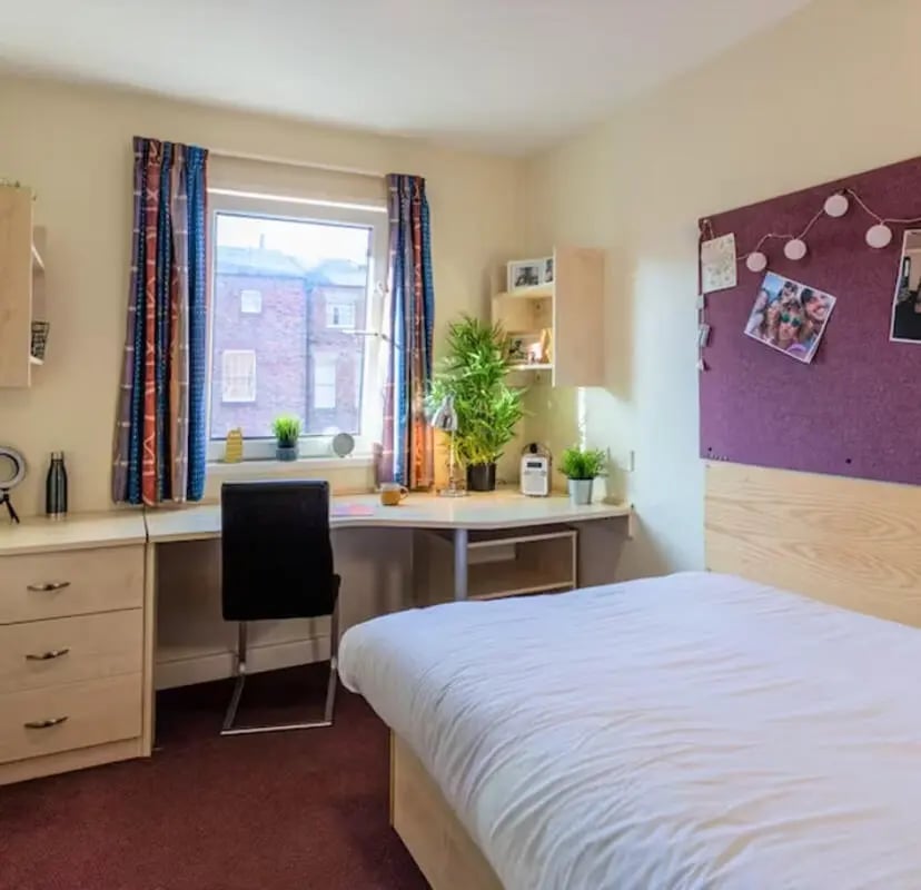Desk chair plants photos bed bedroom at Apollo Court in Liverpool Student Accommodation