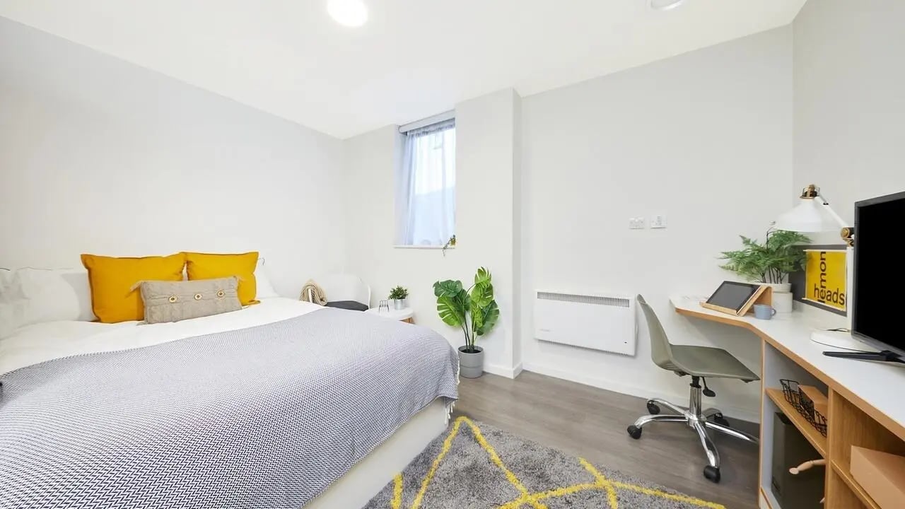 Bed desk chair plant and window bedroom at Collegiate Merlin Heights in Leicester Student Accommodation