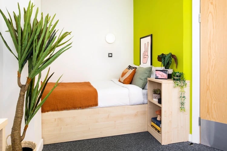 Bed with orange blanket plant and bookshelf bedroom at Mary Sturge in Birmingham Student Accommodation