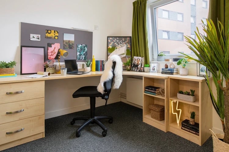 Desk chair corkboard laptop books plants study area at Mary Sturge in Birmingham Student Accommodation