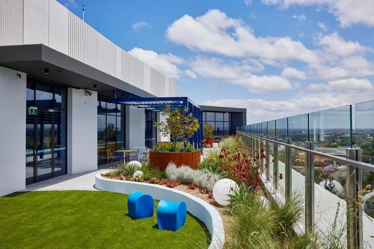 Blue benches grass plants and city view terrace at Scape Redfern in Sydney Student Accommodation