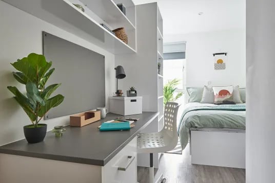 Desk plant lamp chair bed bedroom at The Quarry in Falmouth Student Accommodation