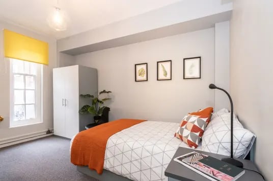Bed wardrobe plant and artwork bedroom at Louise House in London Student Accommodation