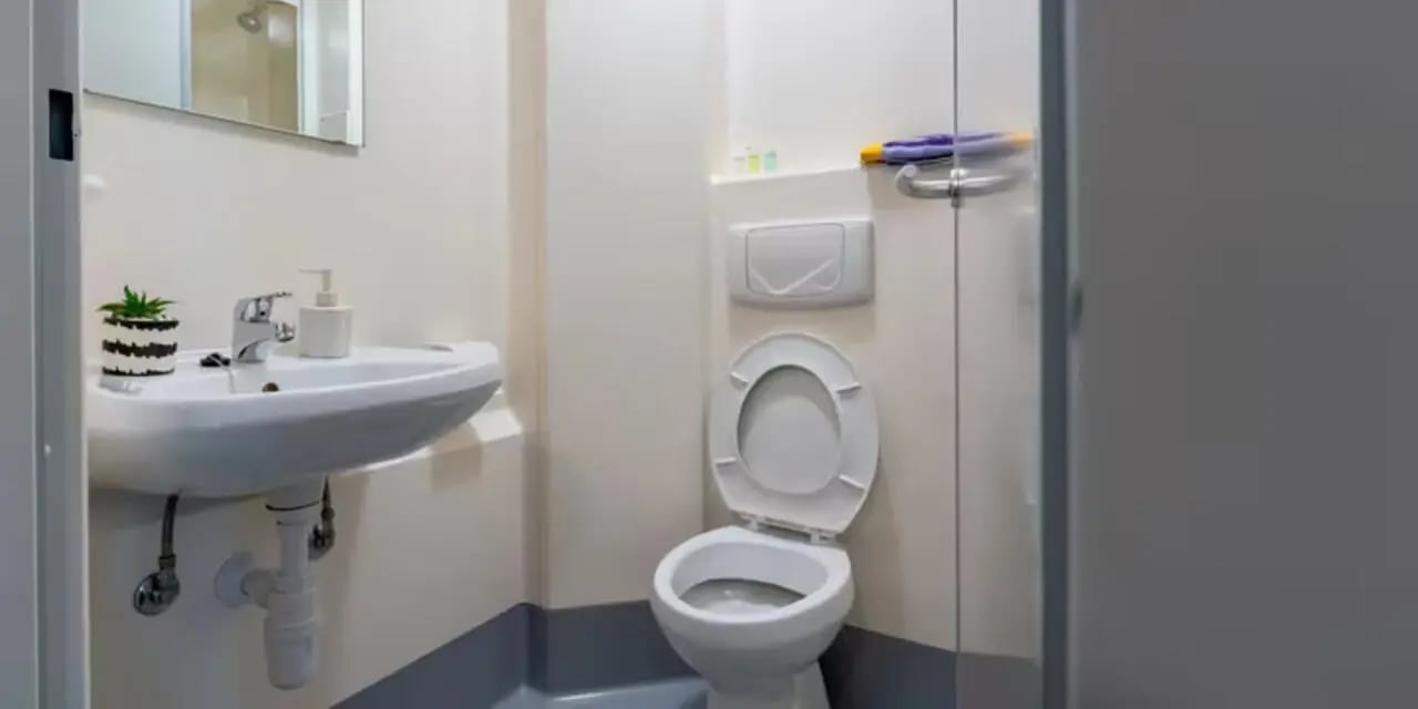 Sink toilet soap dispenser and plant bathroom at The Heights in Birmingham Student Accommodation