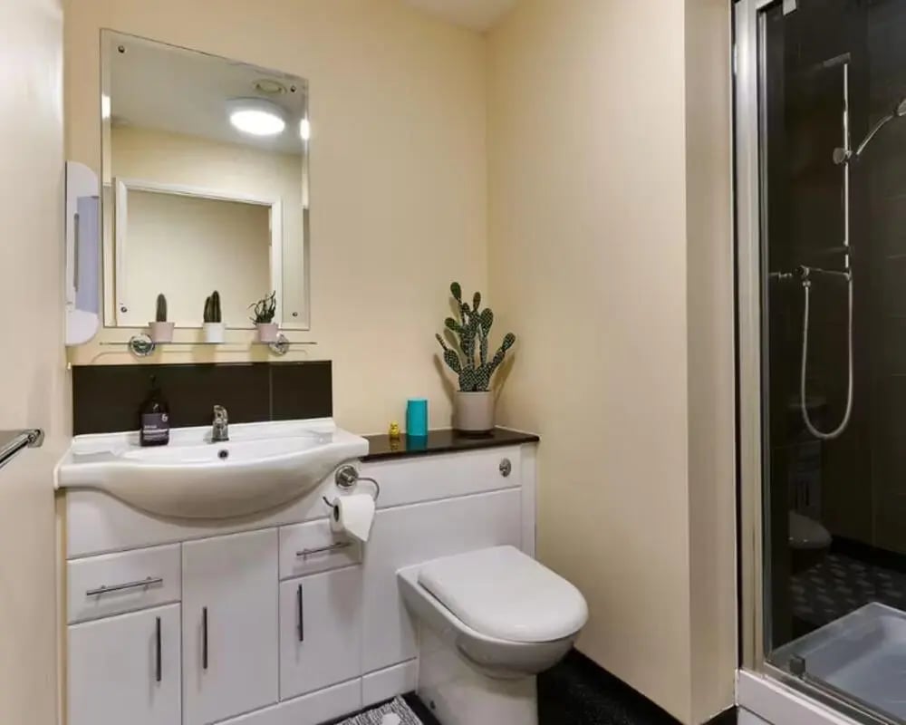 Sink toilet shower plants mirror bathroom at The Hub in London Student Accommodation