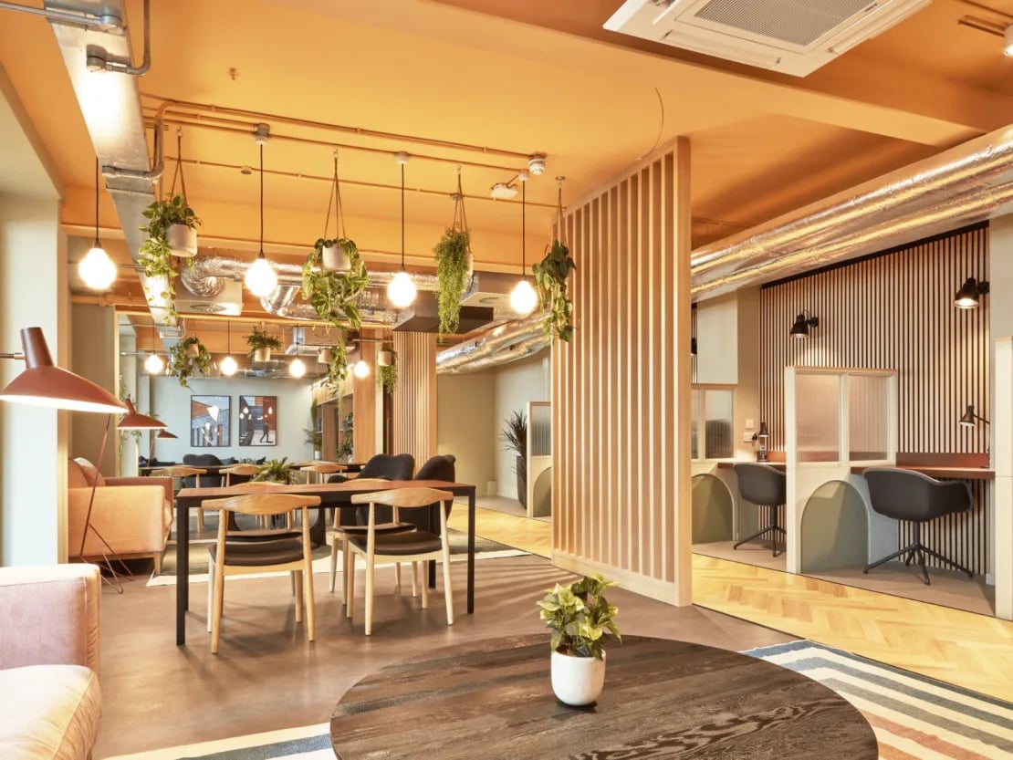 Modern study and lounge areas with plants common room at Queen Street Studios in Exeter Student Accommodation