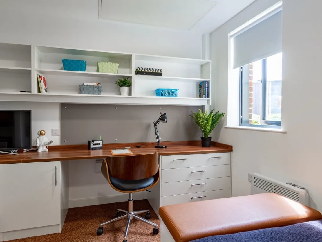 Desk chair shelves plant and television Study area at The Shield in Newcastle Upon Tyne Student Accommodation