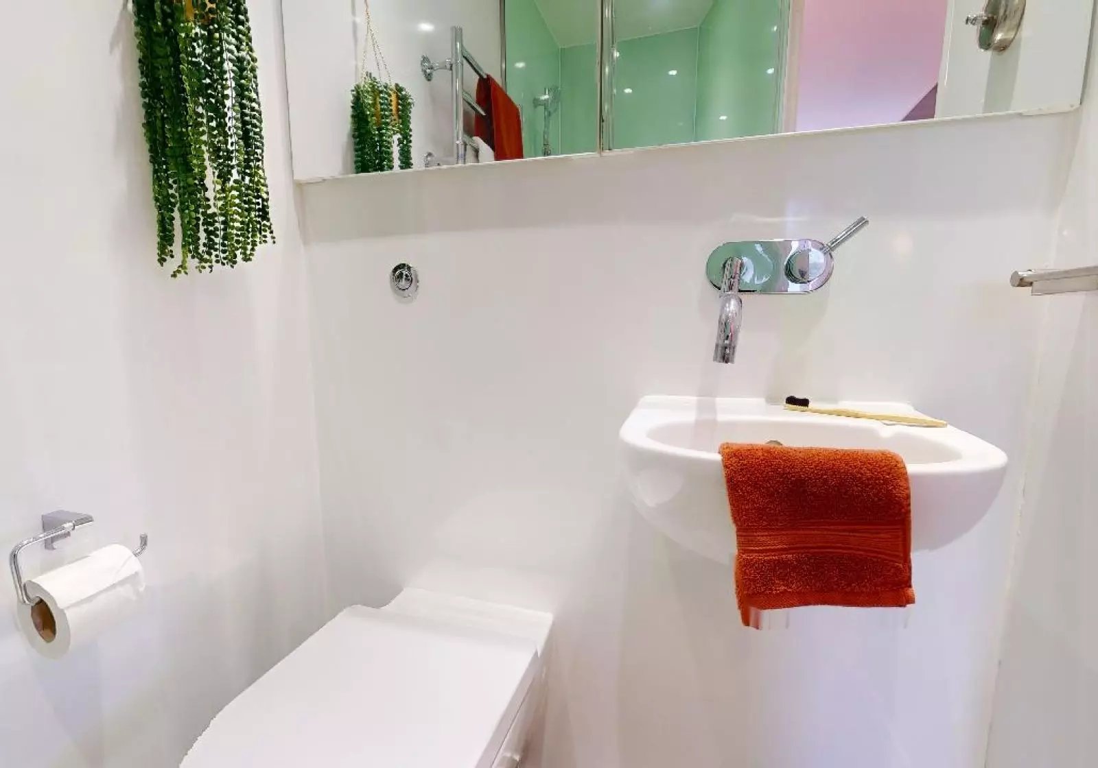 Toilet sink towel toothbrush hanging plant bathroom at iQ East Court in London Student Accommodation
