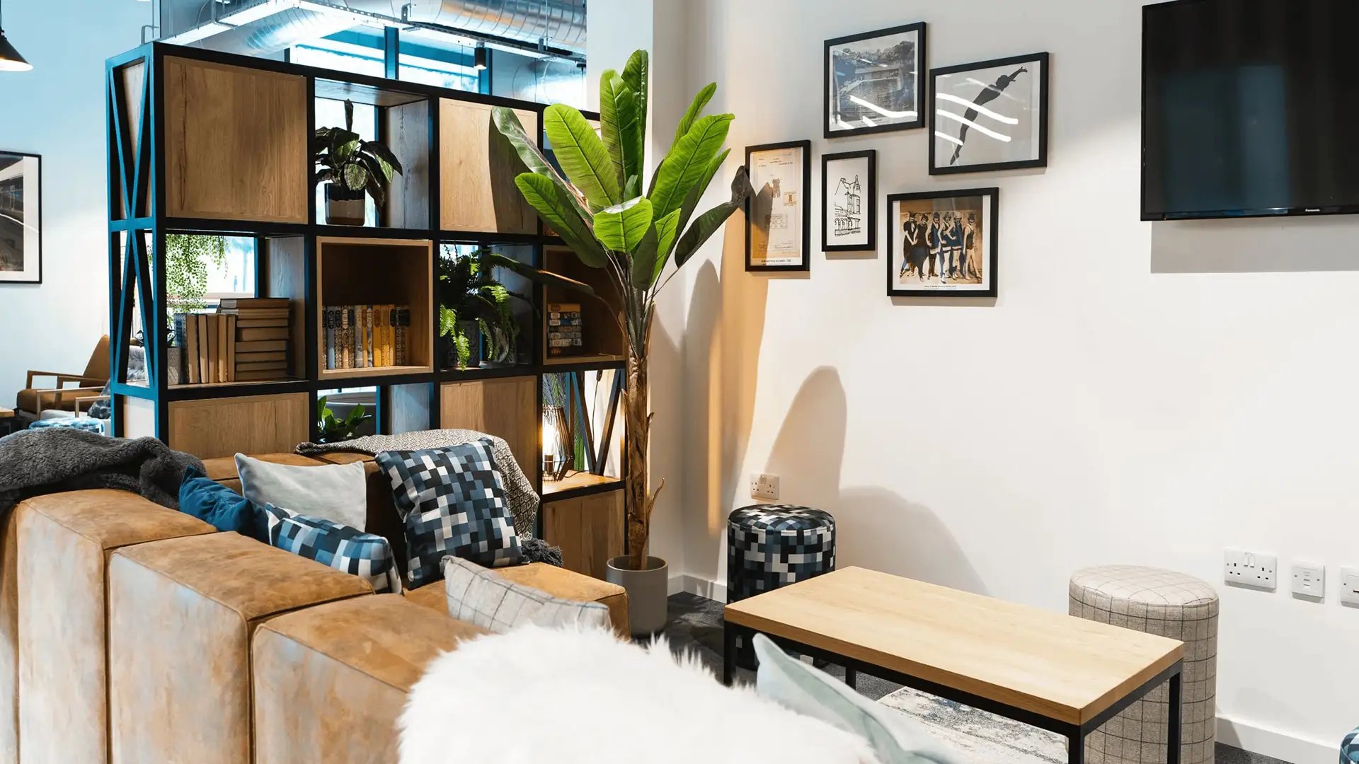 Sofa bookshelf plant coffee table living room at Altura Birmingham in Birmingham Student Accommodation
