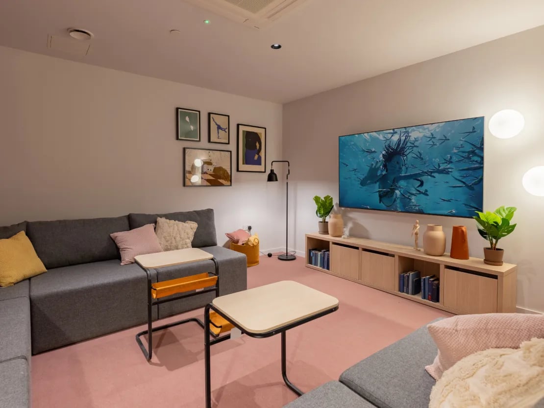 Lounge with grey sofa large TV and pink carpet living room at The Waterways Nottingham in Nottingham Student Accommodation
