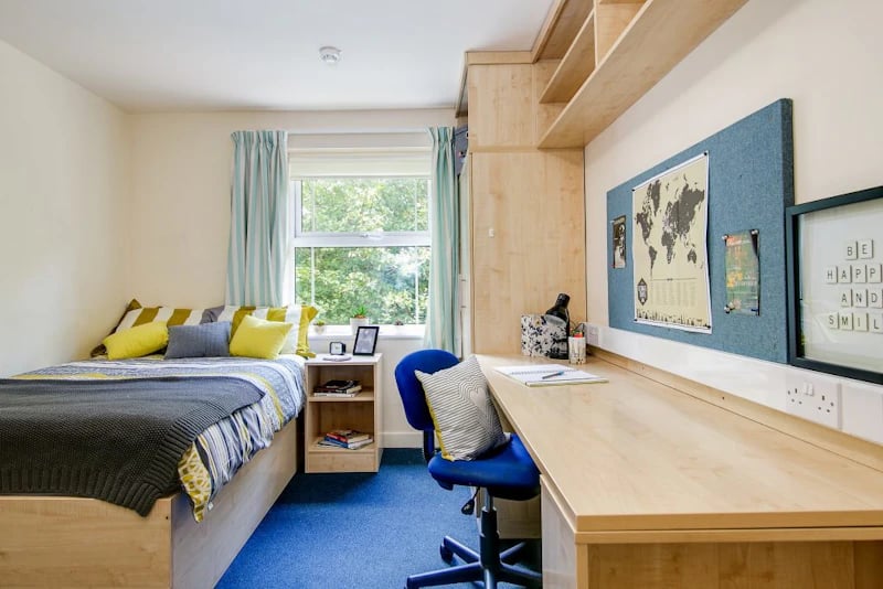 Bed desk chair shelves and window bedroom at Parham Student Village in Canterbury Student Accommodation
