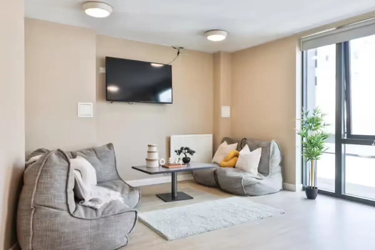 Gray beanbag chairs with a TV and plant living room at James House in Bath Student Accommodation