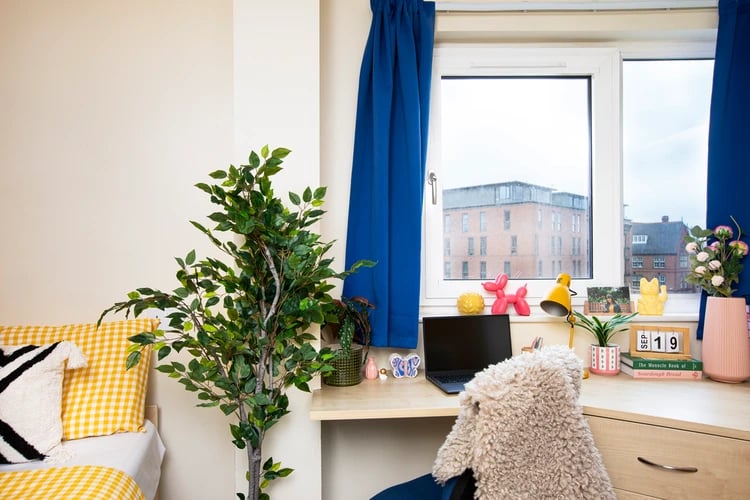 Desk with laptop plant and decorations study area at Castle Court in Leicester Student Accommodation