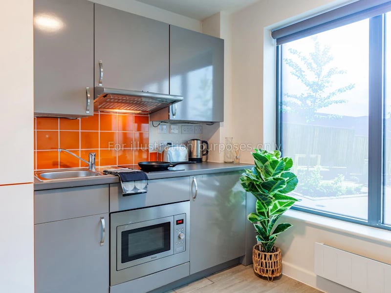Gray cabinets microwave sink oven plant window kitchen at Hannah Court in Sheffield Student Accommodation