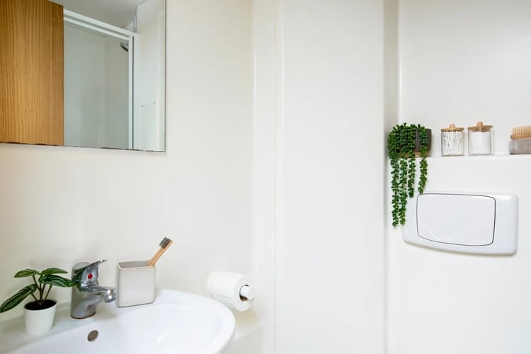 Sink toothbrush plant and toilet flush bathroom at Phoenix Court in Bristol Student Accommodation