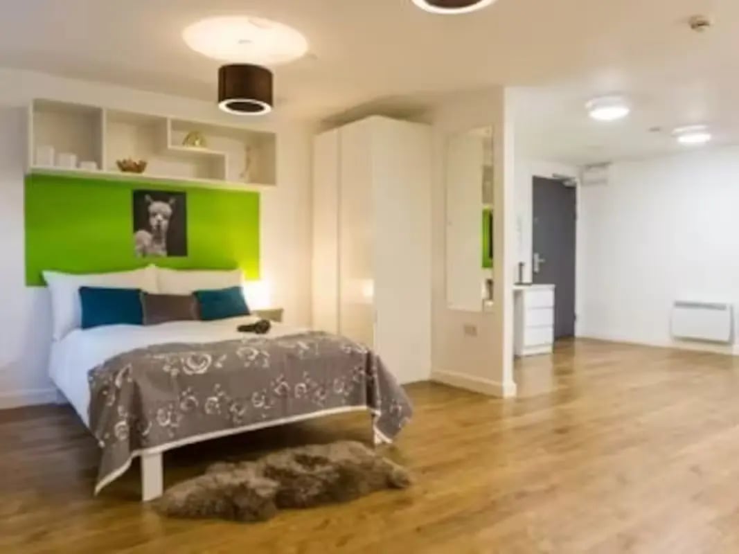 Bed with llama art and shelves bedroom at St Lawrence House in Bristol Student Accommodation