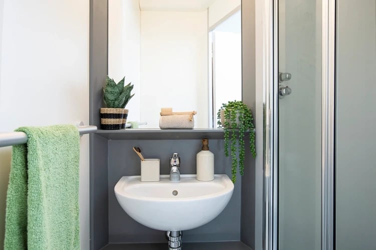 Sink plants towel and shower stall bathroom at North Lodge in London Student Accommodation
