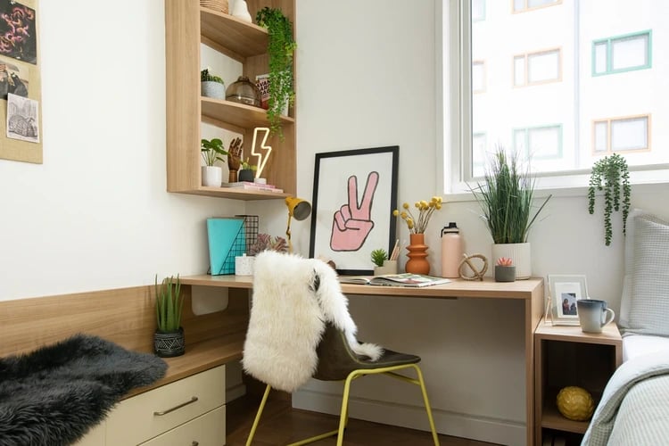 Desk with art and plants study area at North Lodge in London Student Accommodation