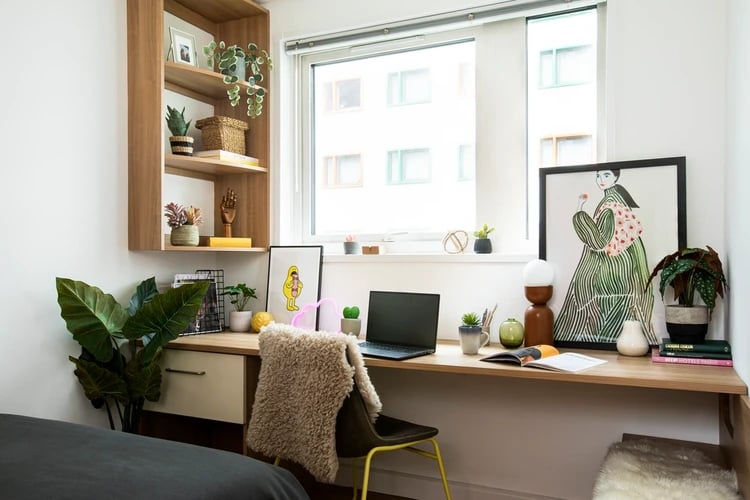 Desk with laptop plants and artwork study area at North Lodge in London Student Accommodation