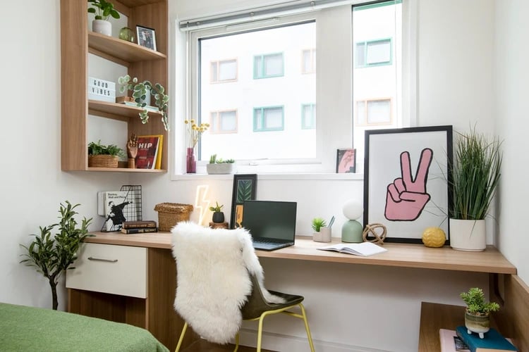 Desk with laptop plants and art study area at North Lodge in London Student Accommodation