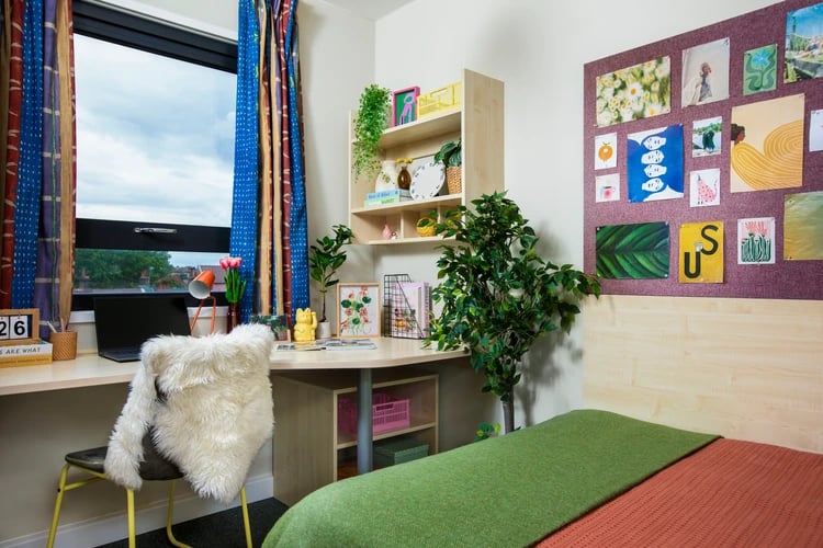 Desk laptop plant artwork wall bed bedroom at Pacific Court in London Student Accommodation