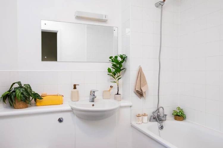 Sink faucet plants mirror soap dispenser towel bathroom at Somerset Court in London Student Accommodation