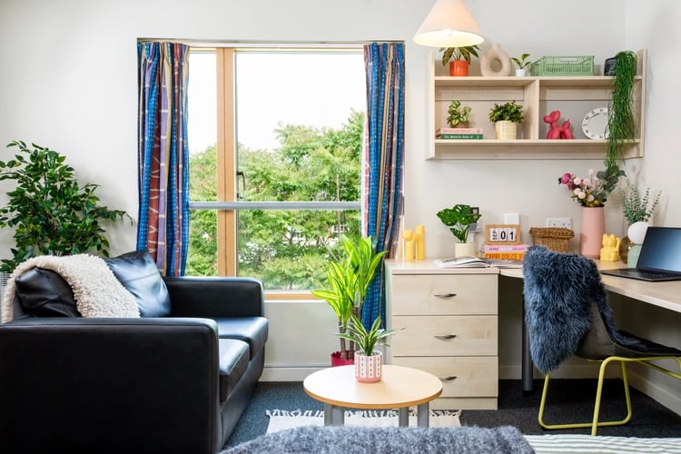 Black sofa desk plants window curtains living room at Somerset Court in London Student Accommodation