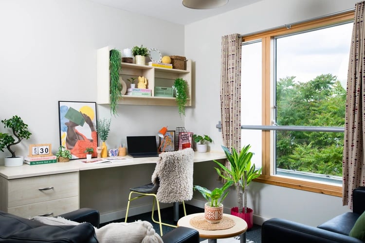 Desk with laptop plants and artwork study area at Somerset Court in London Student Accommodation