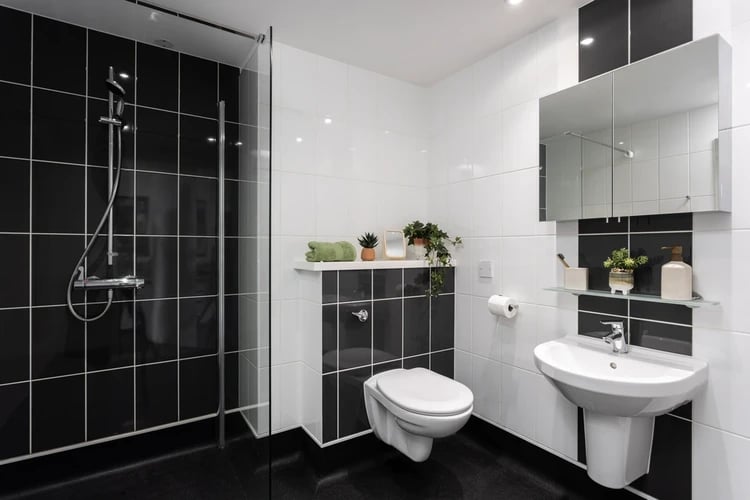 Shower toilet sink mirror plants bathroom at Newgate Court in Newcastle Upon Tyne Student Accommodation