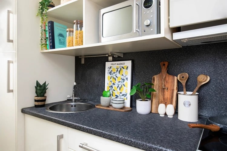 Microwave sink plants and utensils kitchen at Elizabeth Croll House in London Student Accommodation