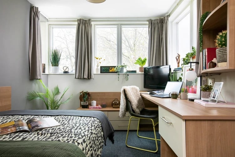 Bed desk monitor plants and chair bedroom at Elizabeth Croll House in London Student Accommodation