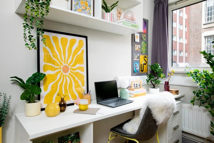 Desk with laptop plant artwork and chair study area at East Central House in London Student Accommodation