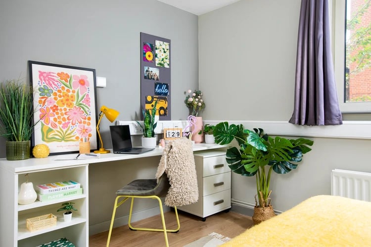 Desk with laptop plants and artwork study area at East Central House in London Student Accommodation