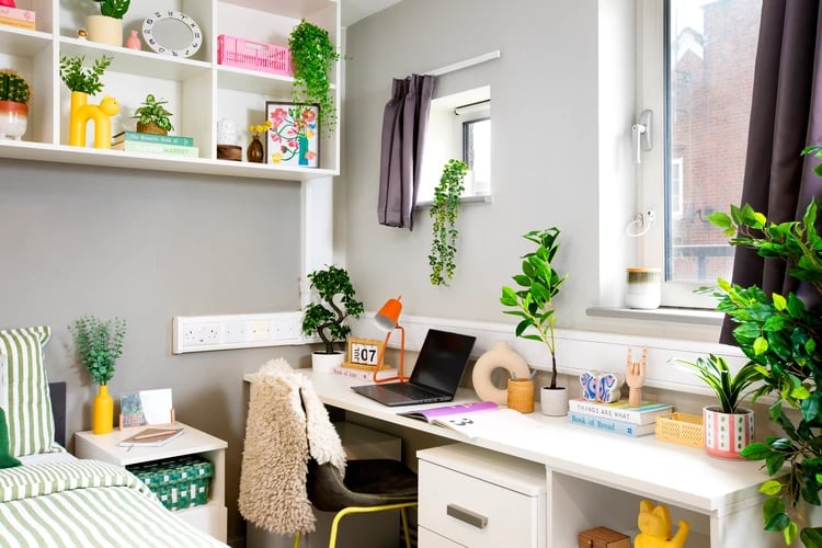 Desk with laptop plants and decor Study area at East Central House in London Student Accommodation