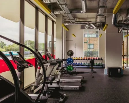 Gym with treadmills weight rack and weights gym at Scape Mile End in London Student Accommodation
