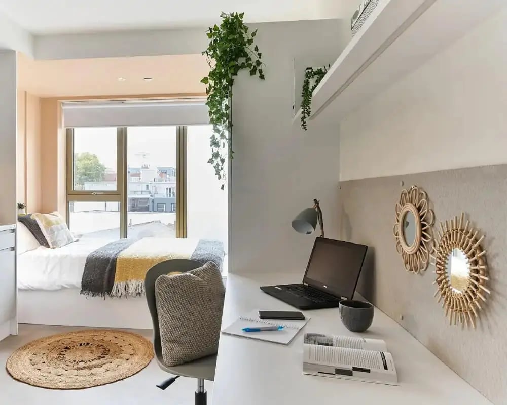 Bed desk and plant Student accommodation bedroom at Host View Studios in London Student Accommodation